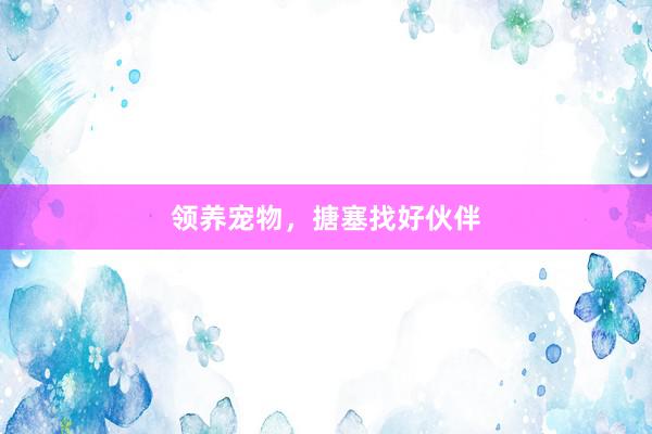 领养宠物,搪塞找好伙伴