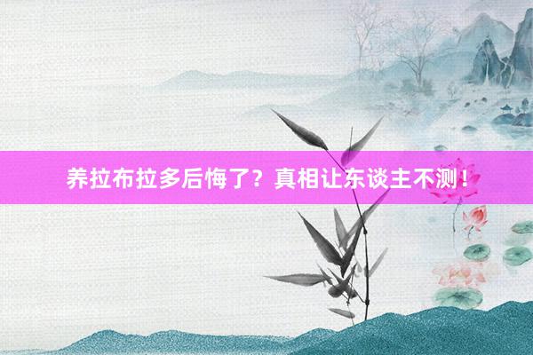 养拉布拉多后悔了?真相让东谈主不测!