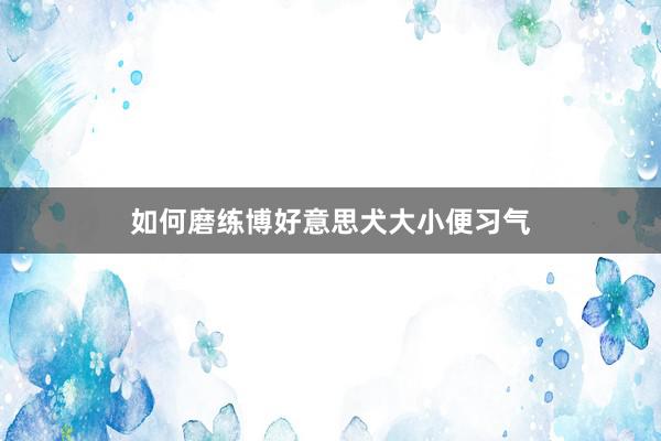 如何磨练博好意思犬大小便习气